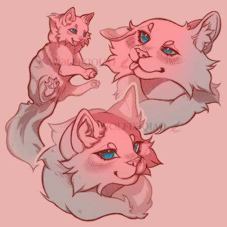 Gradient Sketchpage - $35
